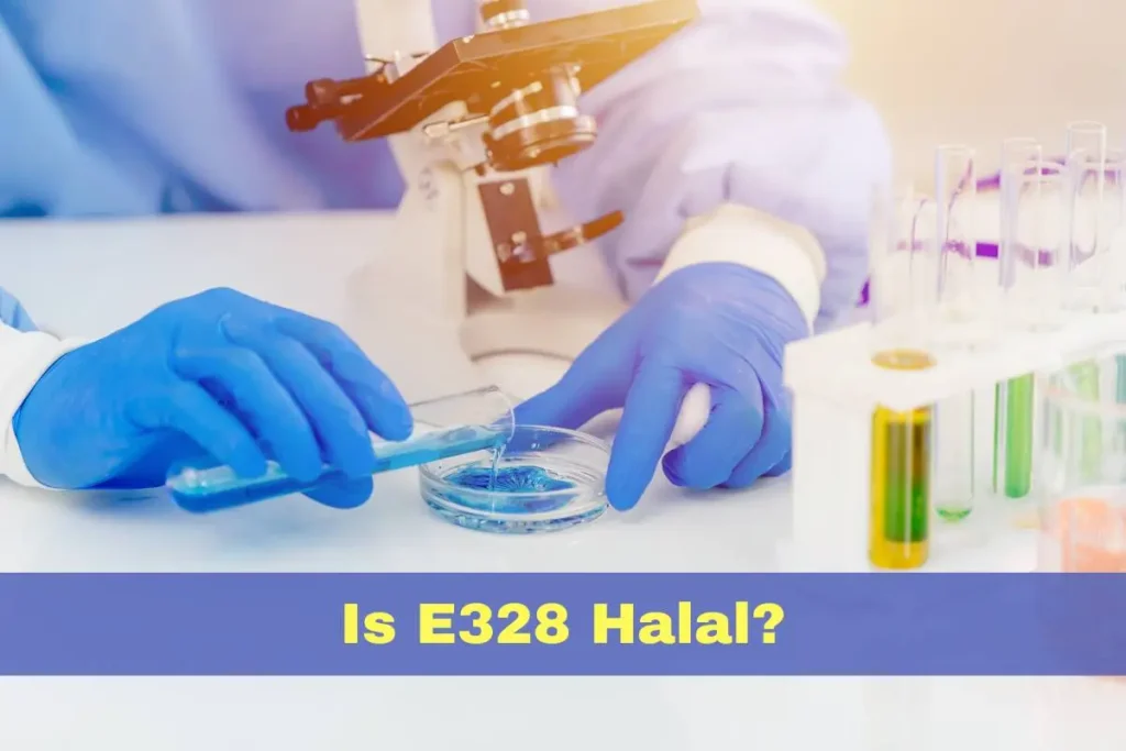 featured - Is E328 Halal or Haram