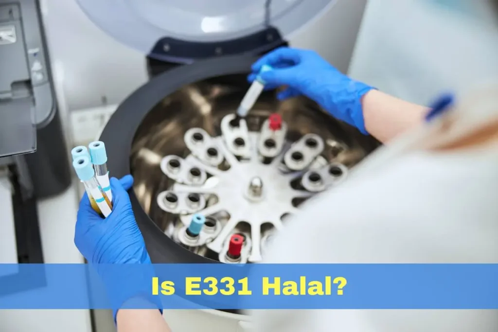 featured - Is E331 Halal or Haram?
