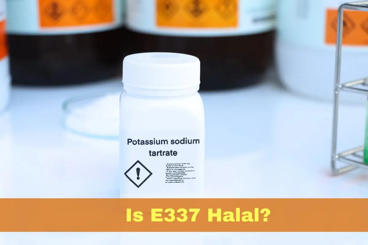 featured - Is E337 Halal or Haram