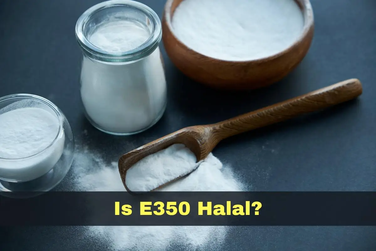 featured - Is E350 Halal or Haram