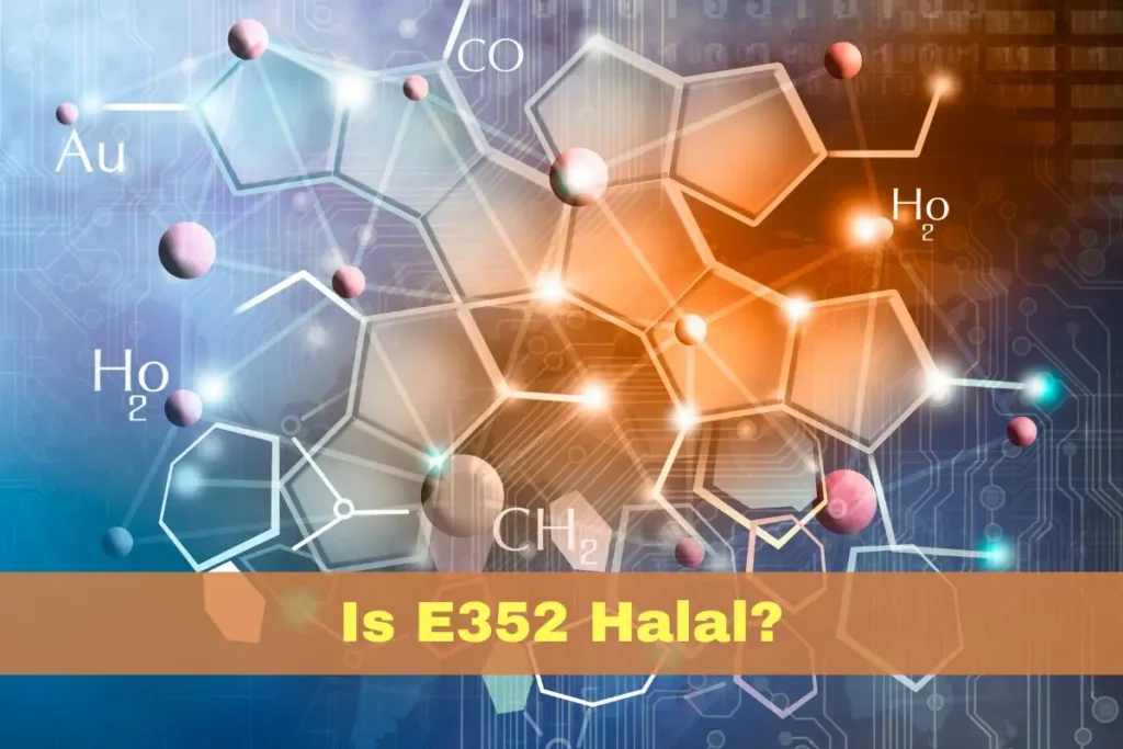 featured - Is E352 Halal or Haram