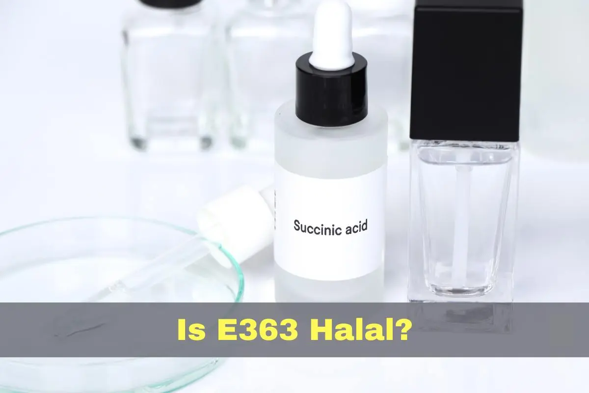 featured - Is E363 Halal or Haram