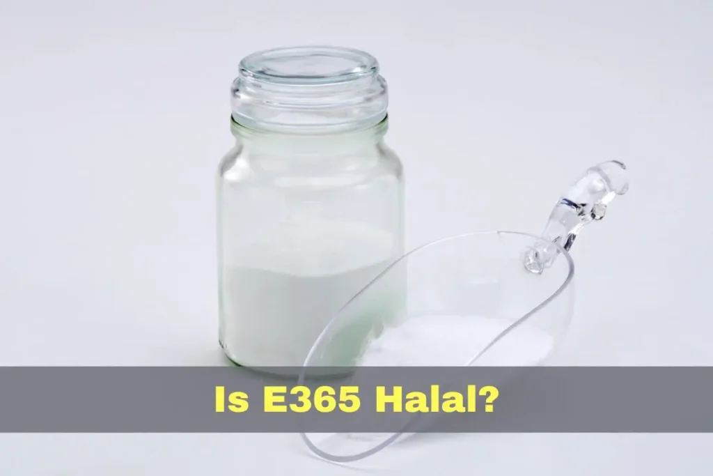 featured - Is E365 Halal or Haram