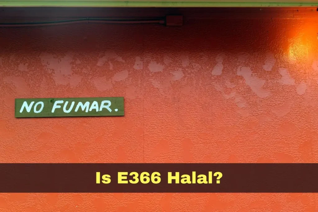 featured - Is E366 Halal or Haram