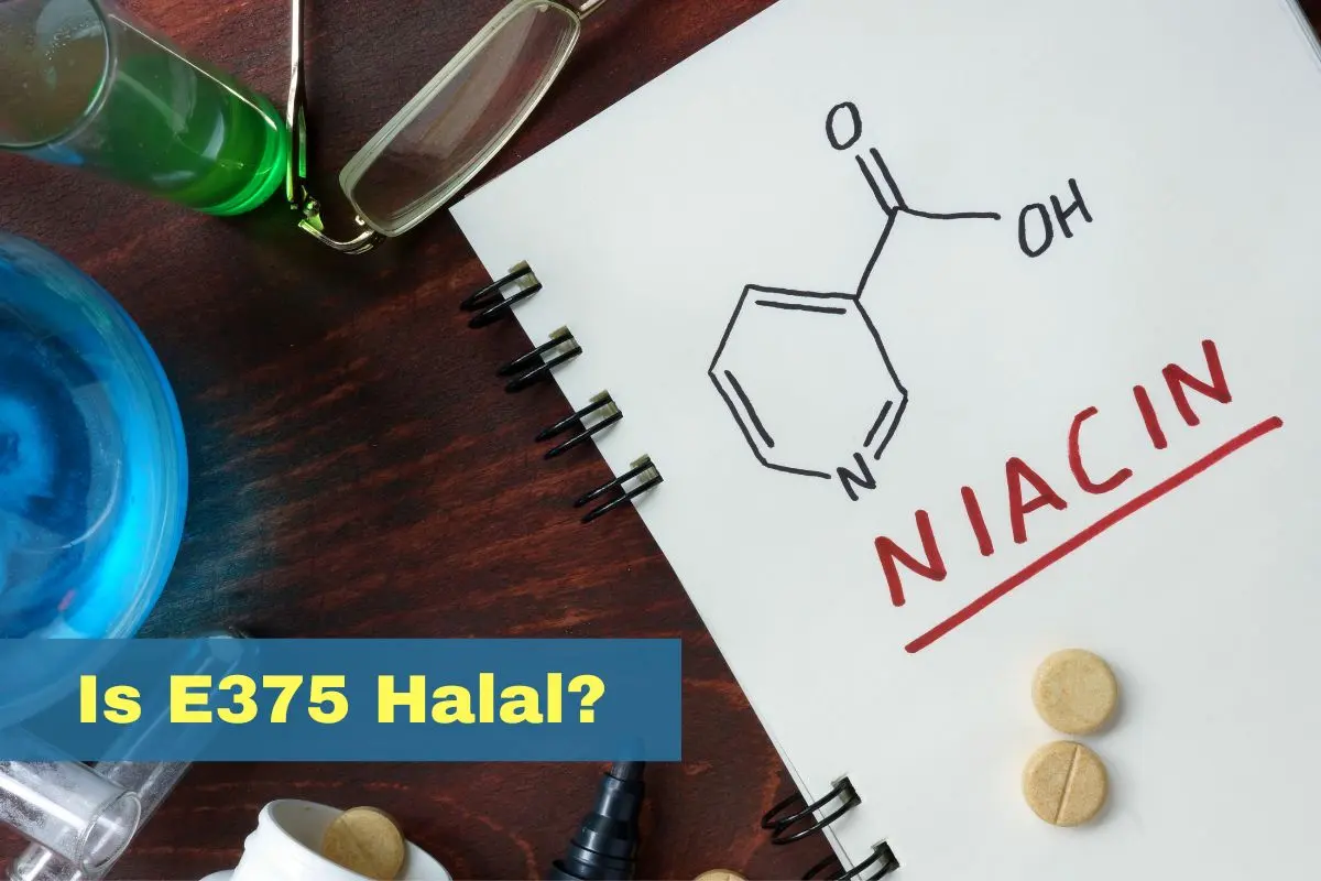 featured - Is E375 Halal or Haram