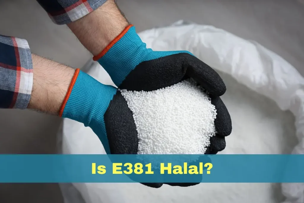 featured - Is E381 Halal or Haram