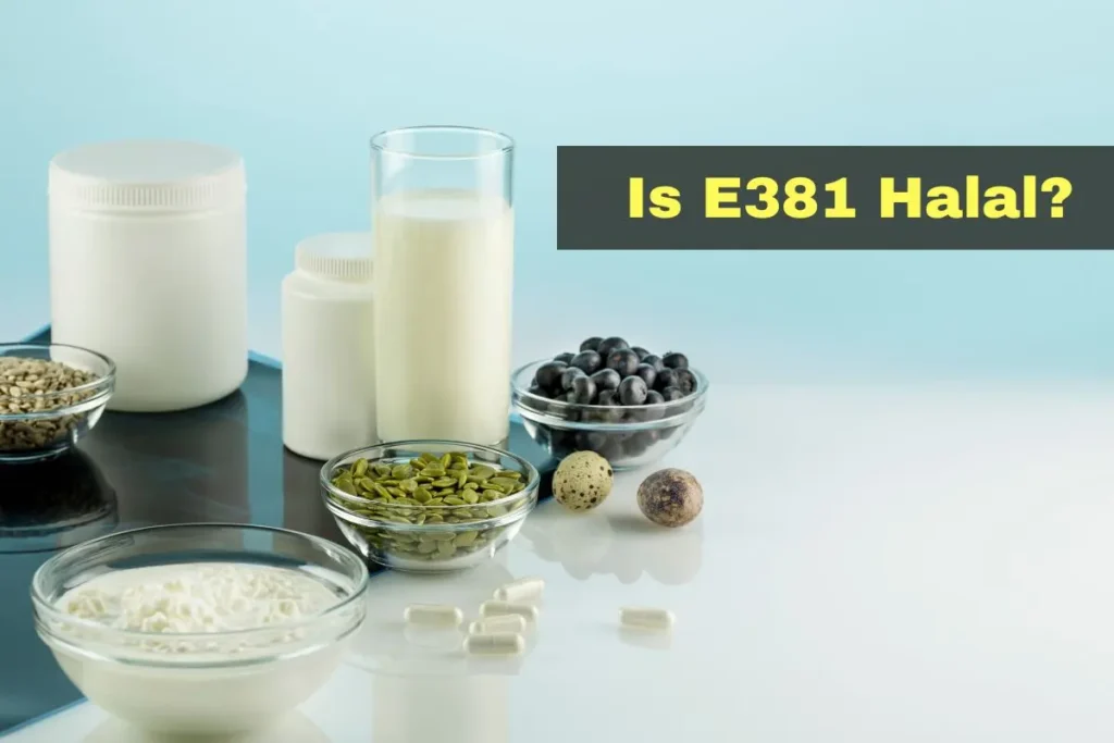 featured - Is E385 Halal or Haram