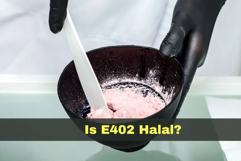 featured - Is E402 Halal or Haram