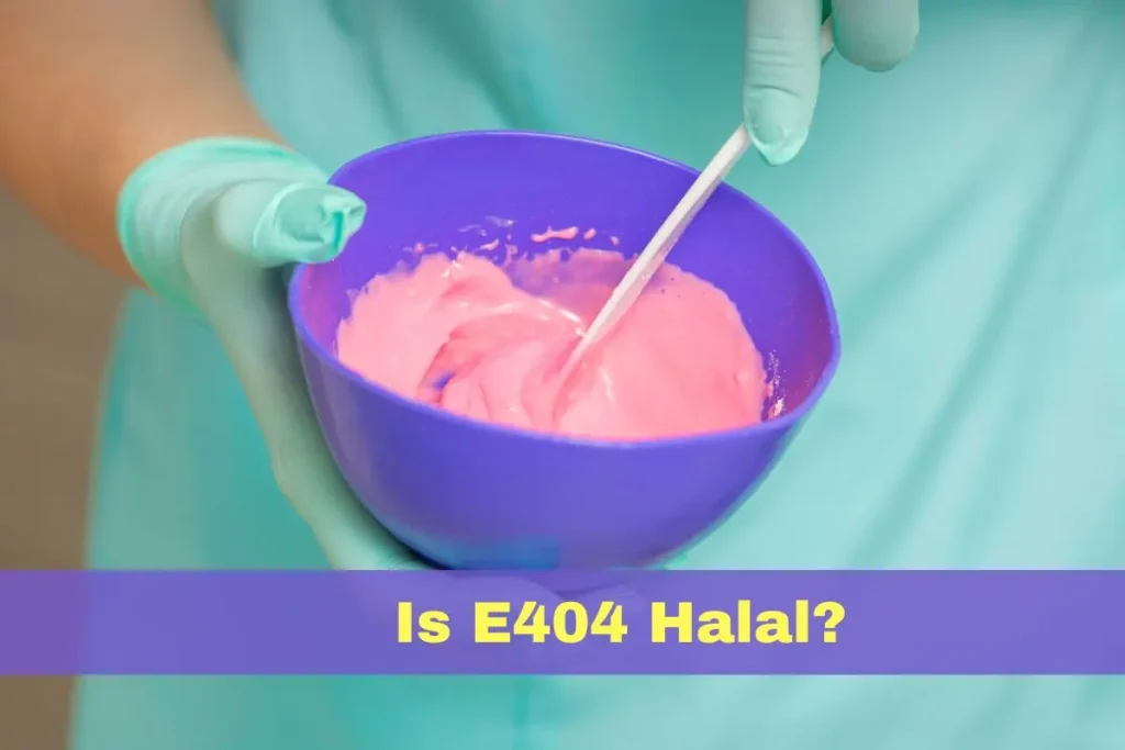 featured - Is E404 Halal or Haram