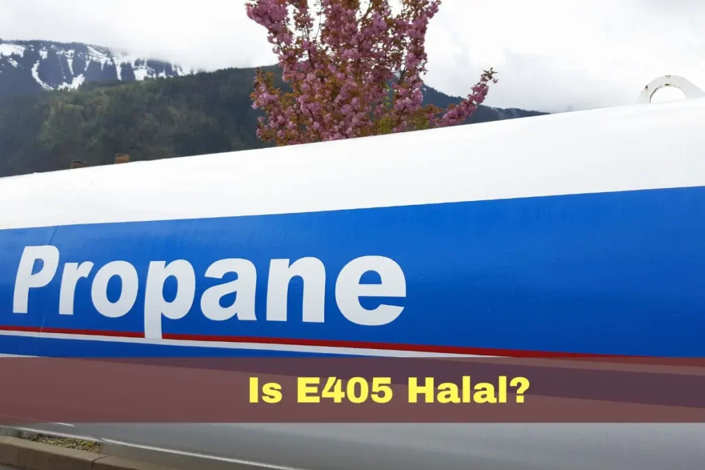 featured - Is E405 Halal or Haram