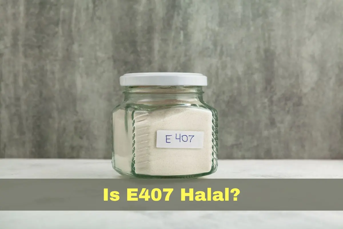 featured- Is E407 Halal or Haram