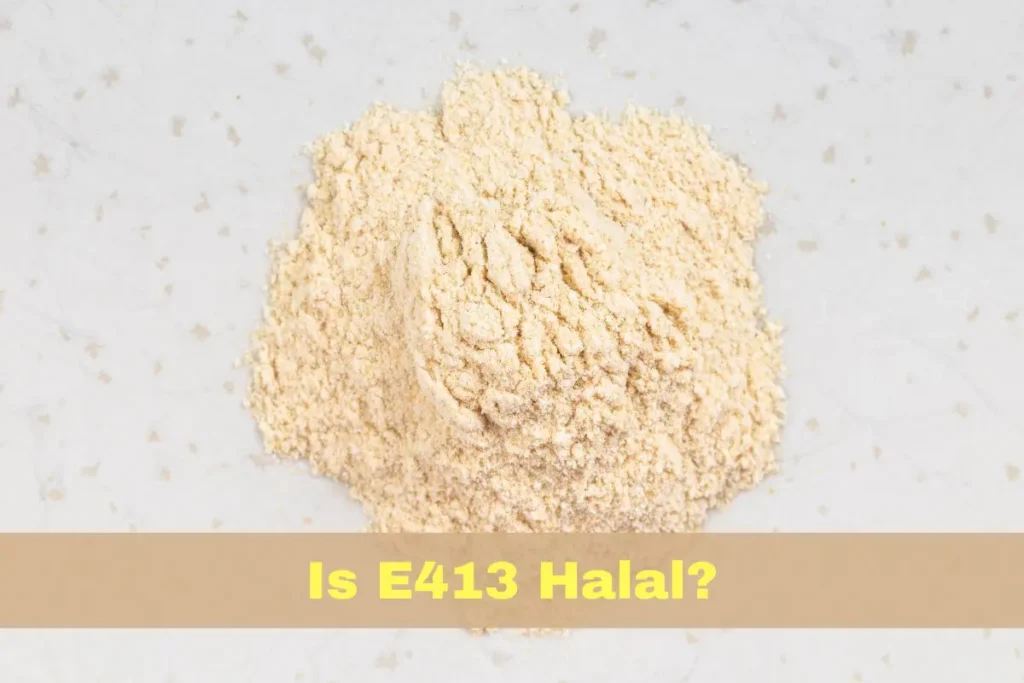 featured - Is E413 Halal or Haram