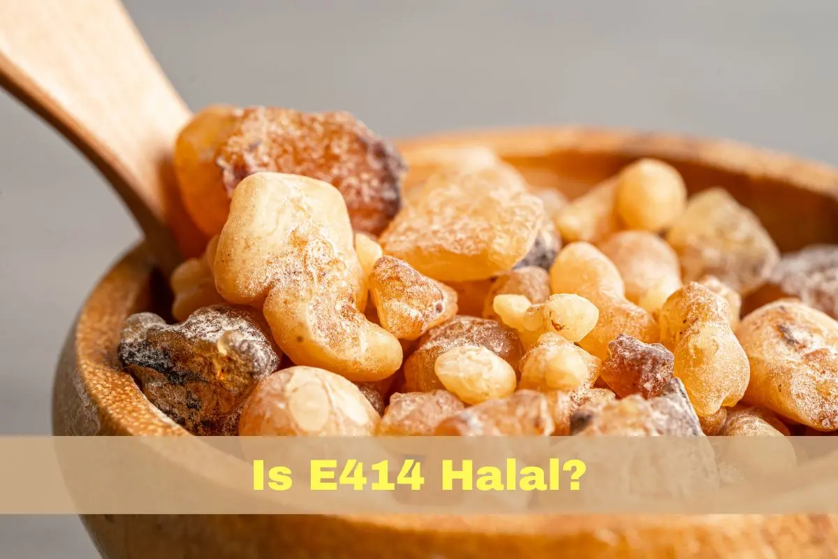 featured - Is E414 Halal or Haram