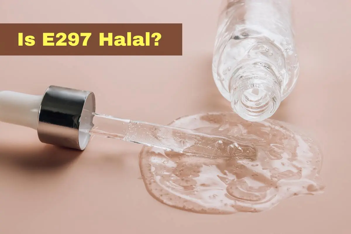 featured - is e297 halal or haram?