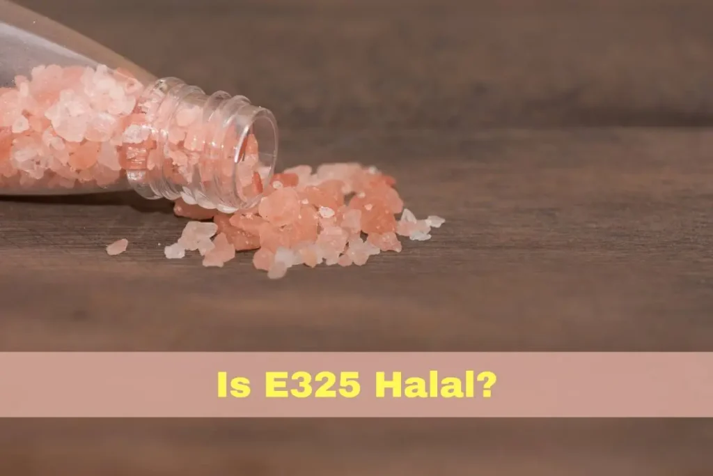 featured - is e325 halal or haram?