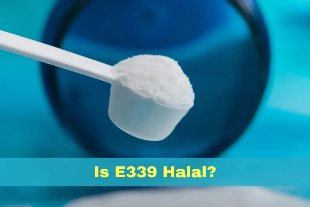 featured- is e339 halal or haram