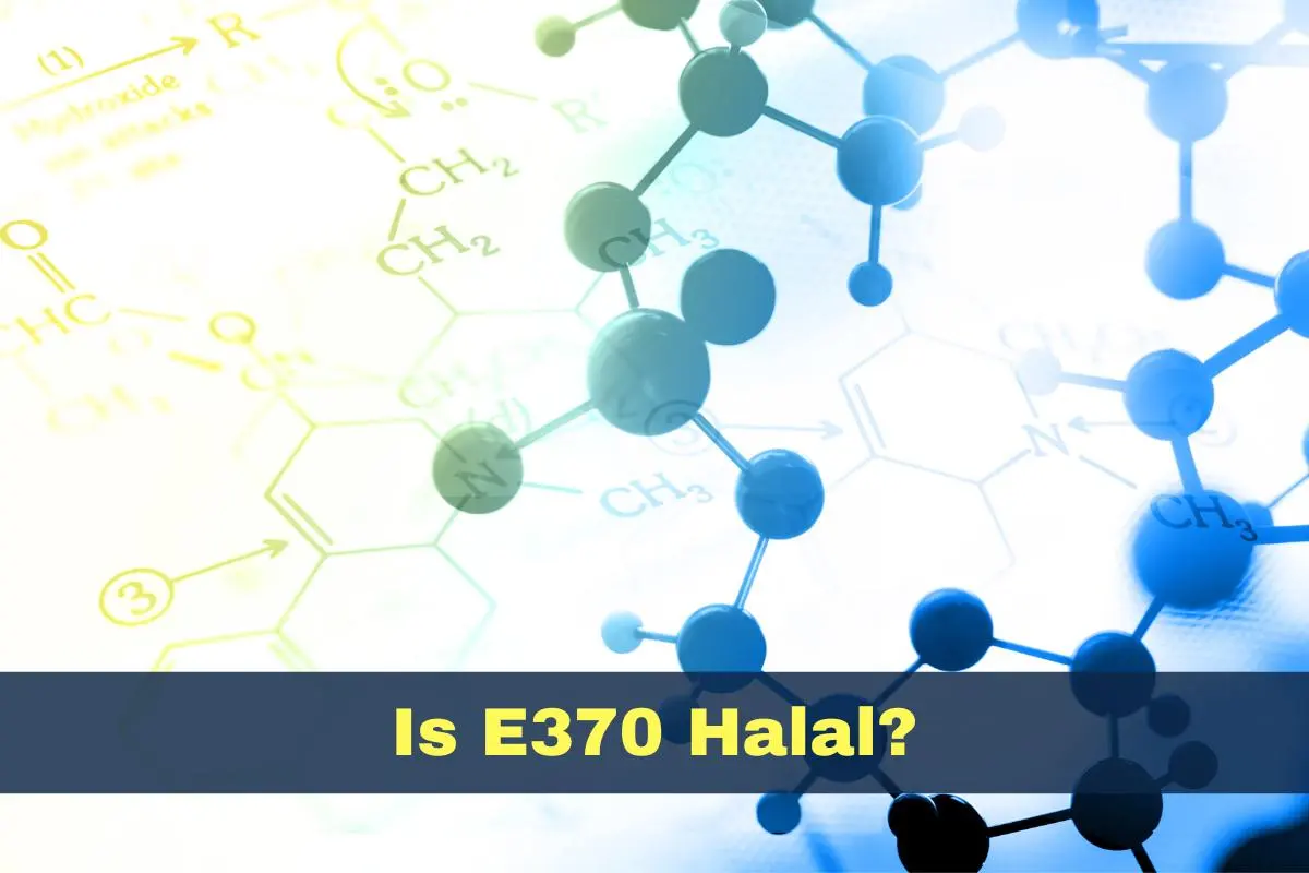 featured - is e370 halal or haram?