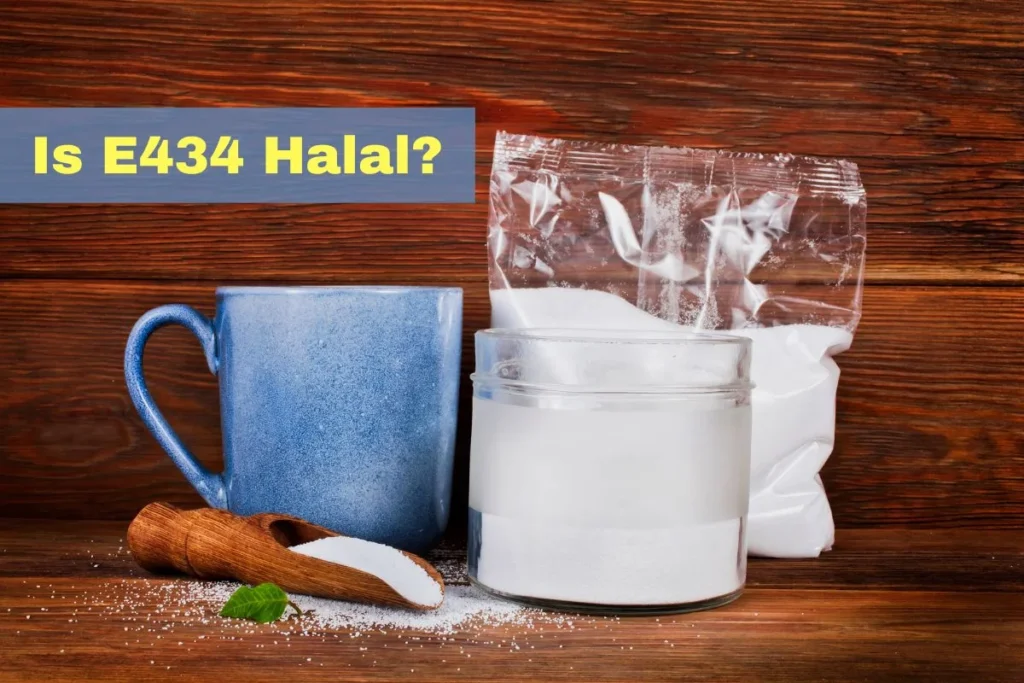 featured - Is E434 Halal or Haram