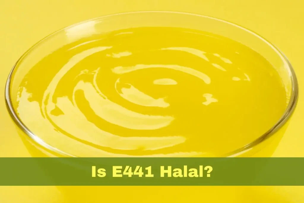 featured - is e441 (gelatine) halal or haram
